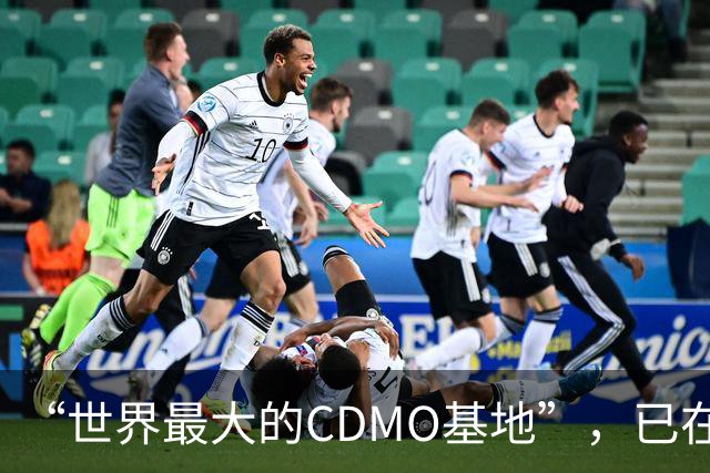 “世界最大的CDMO基地”，已在上海闲置两年多
