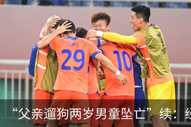 “父亲遛狗两岁男童坠亡”续：经审查没有犯罪事实，警方不予立案