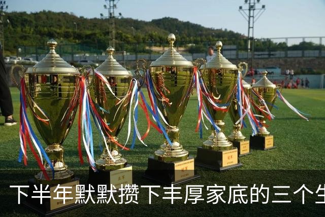 下半年默默攒下丰厚家底的三个生肖，计划顺利收尾，收入翻一番