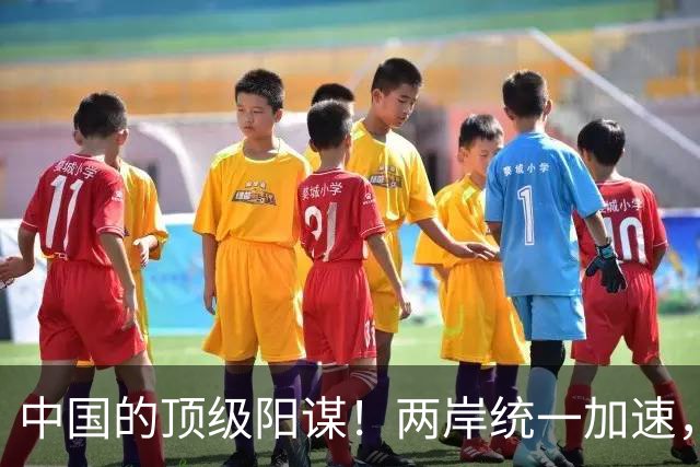 中国的顶级阳谋！两岸统一加速，不费一枪一弹，美国拦也拦不住