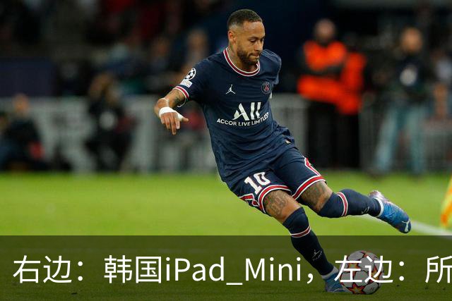 右边：韩国iPad Mini，左边：所有其他国家的iPad Mini