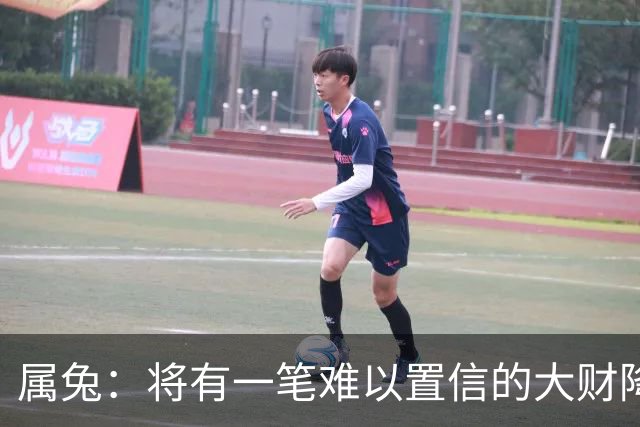 属兔：将有一笔难以置信的大财降临，2027年，你要乐开花