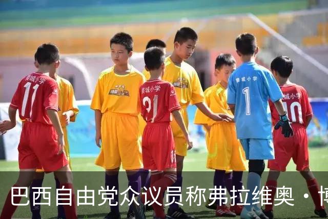 巴西自由党众议员称弗拉维奥·博索纳罗已前往美国