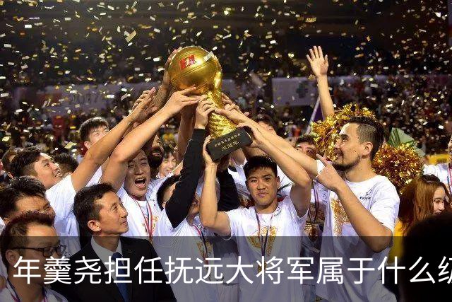 年羹尧担任抚远大将军属于什么级别？与大学士和军机大臣相比如何？
