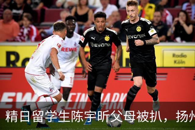 精日留学生陈宇昕父母被扒，扬州公司洗白，背后的人藏不住了