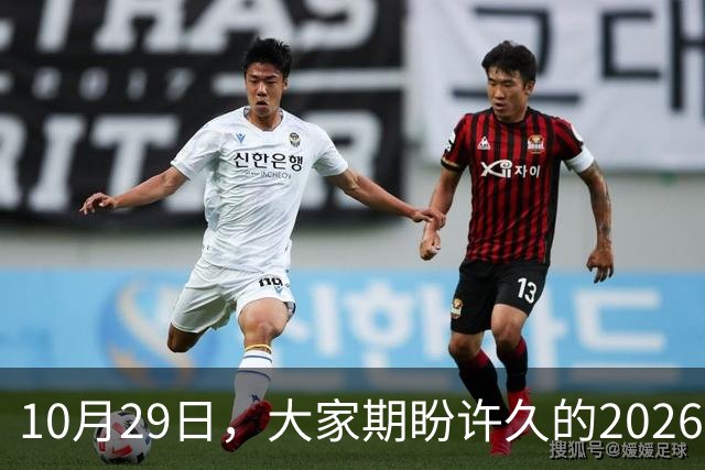 10月29日，大家期盼许久的2026年退休养老金，究竟涨还是不涨？