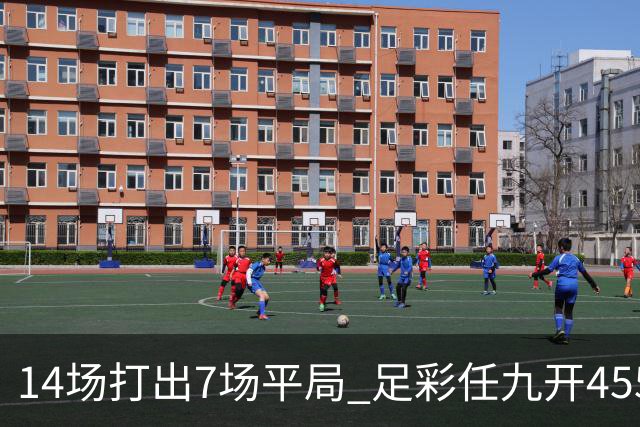 14场打出7场平局 足彩任九开455注30407元