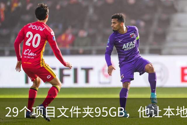 29个项目文件夹95GB，他让本地模型逐个判生死