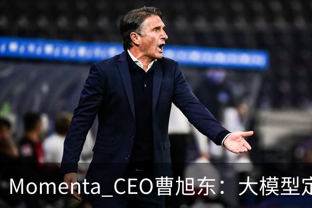 Momenta CEO曹旭东：大模型定义芯片 才有可能实现规模化L4